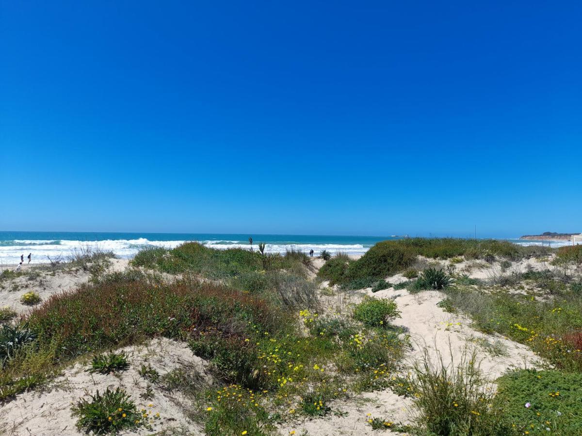 Aparthotel Novo Sancti Petri Chiclana de la Frontera Ngoại thất bức ảnh